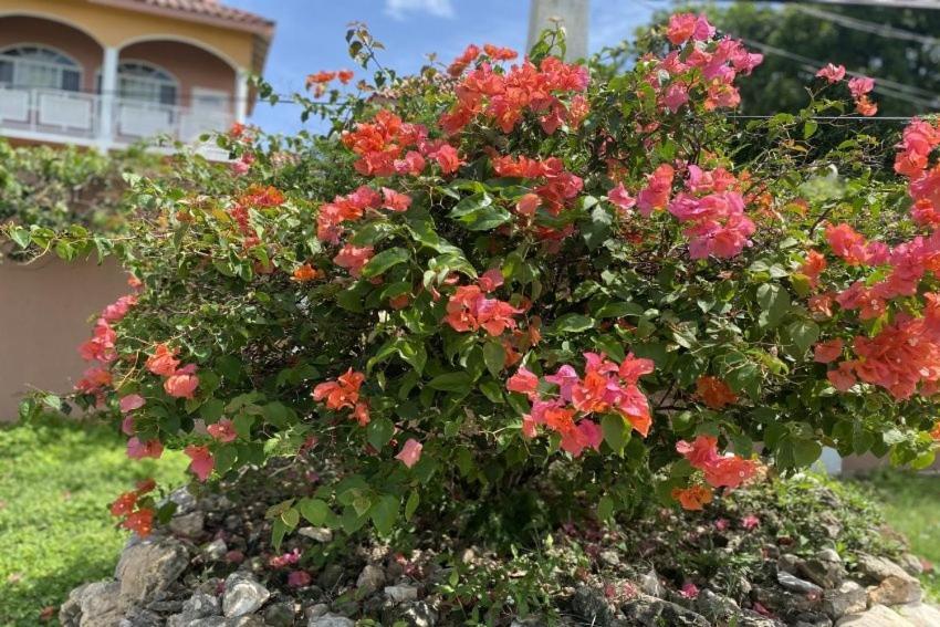 Yanceylargo Estate - Newly Renovated 7br Beautiful Two-story W Gorgeous Mountain View Villa *