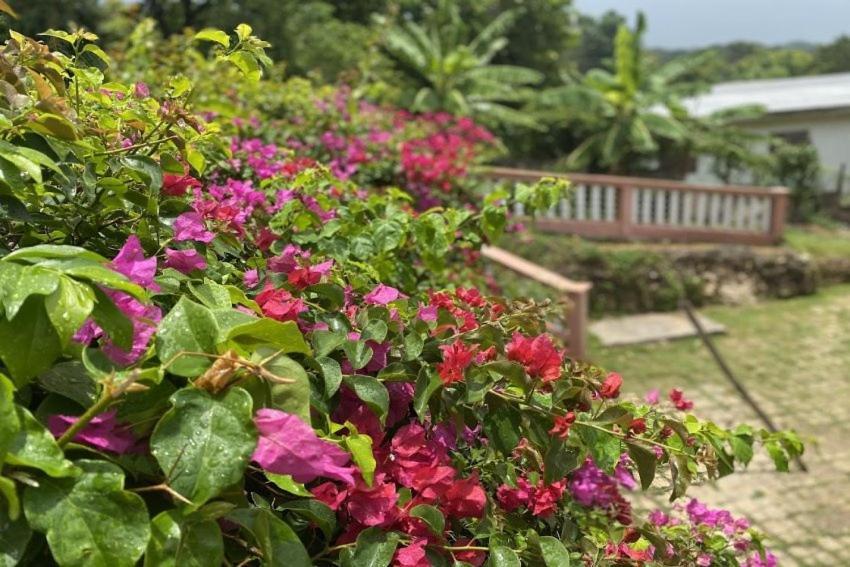 Villa Yanceylargo Estate - Newly Renovated 7br Beautiful Two-story W Gorgeous Mountain View *