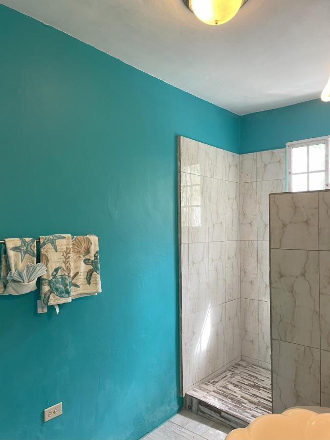 Yanceylargo Estate - Newly Renovated 7br Beautiful Two-story W Gorgeous Mountain View Villa