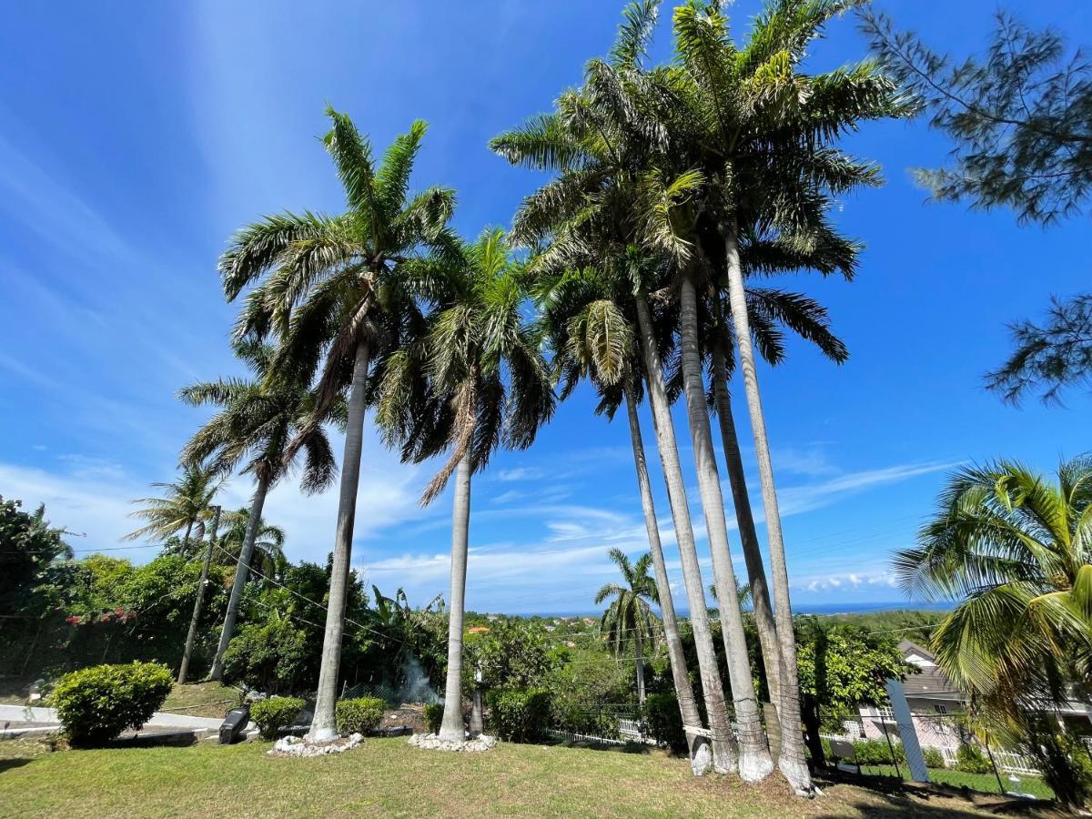 The @ Peaceful Palms * Montego Bay