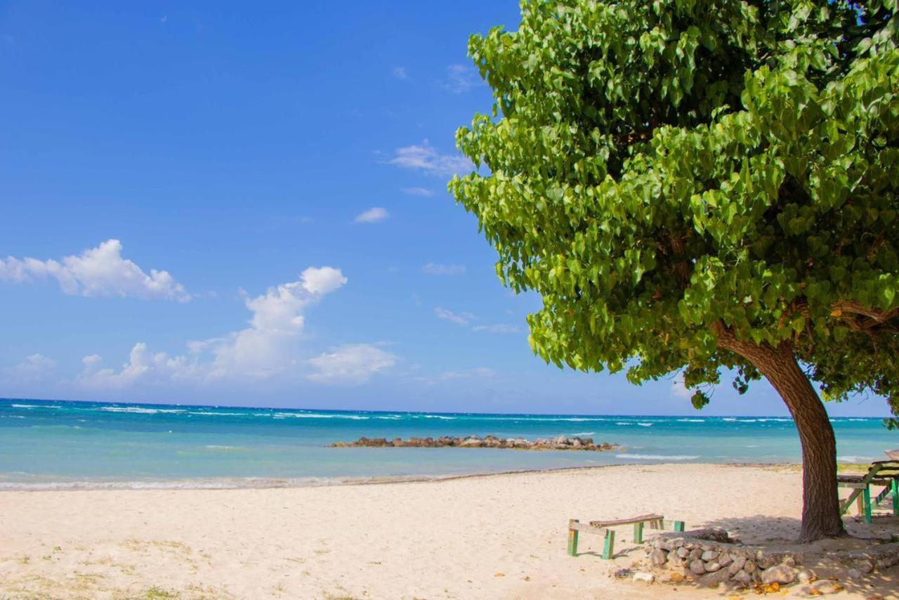 Malibu Ocean View Studio Apartment Montego Bay
