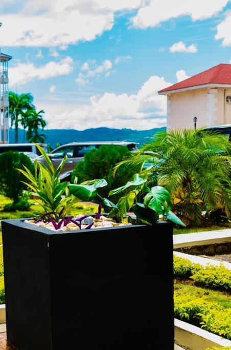 Falcon Islandview - Airport Pickup Available - 24Security