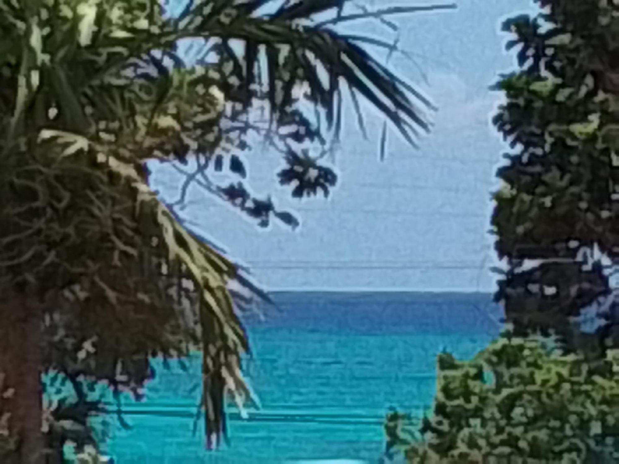 Homestay Chatham Palms