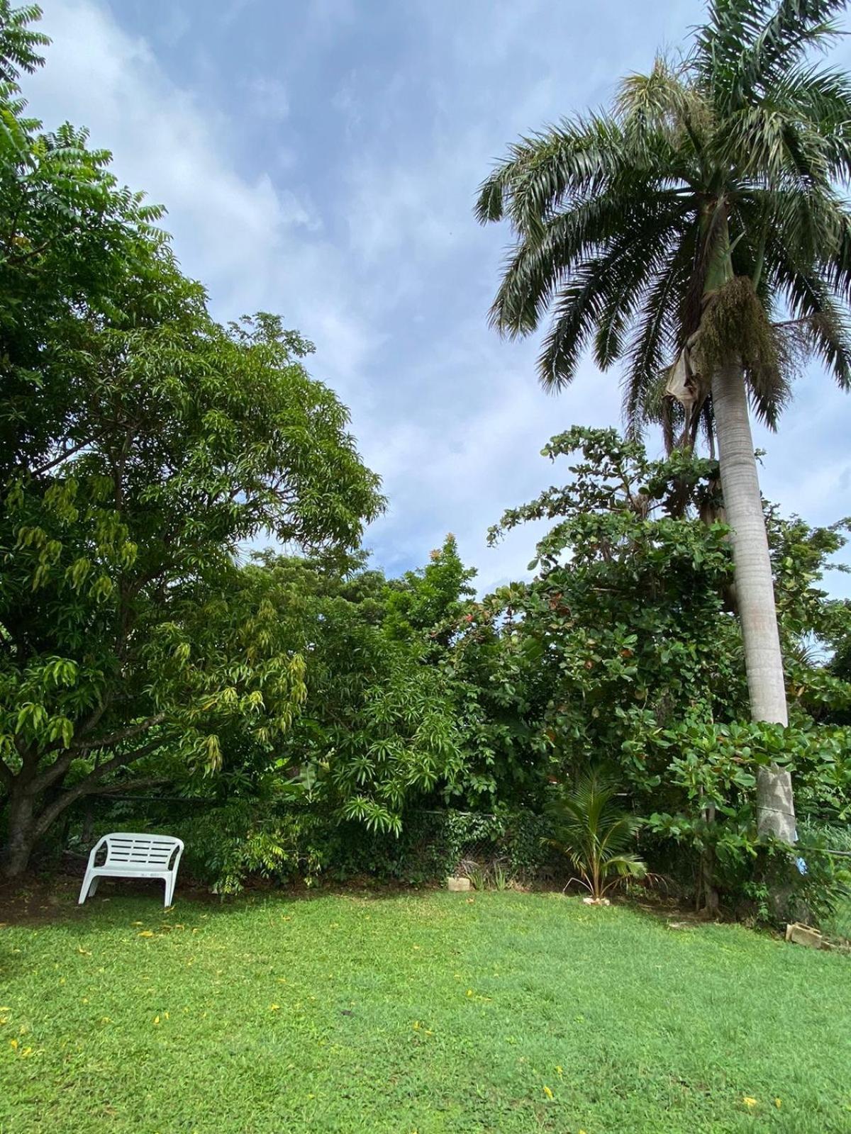 Villa Cisland Experience
