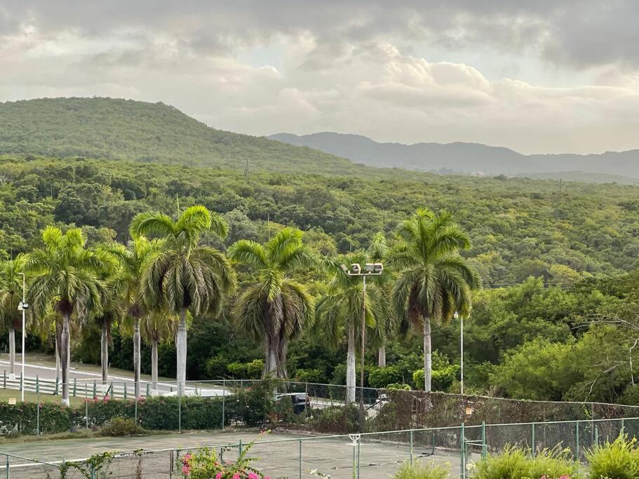 Marriott Seacastles F32, Apartment Montego Bay