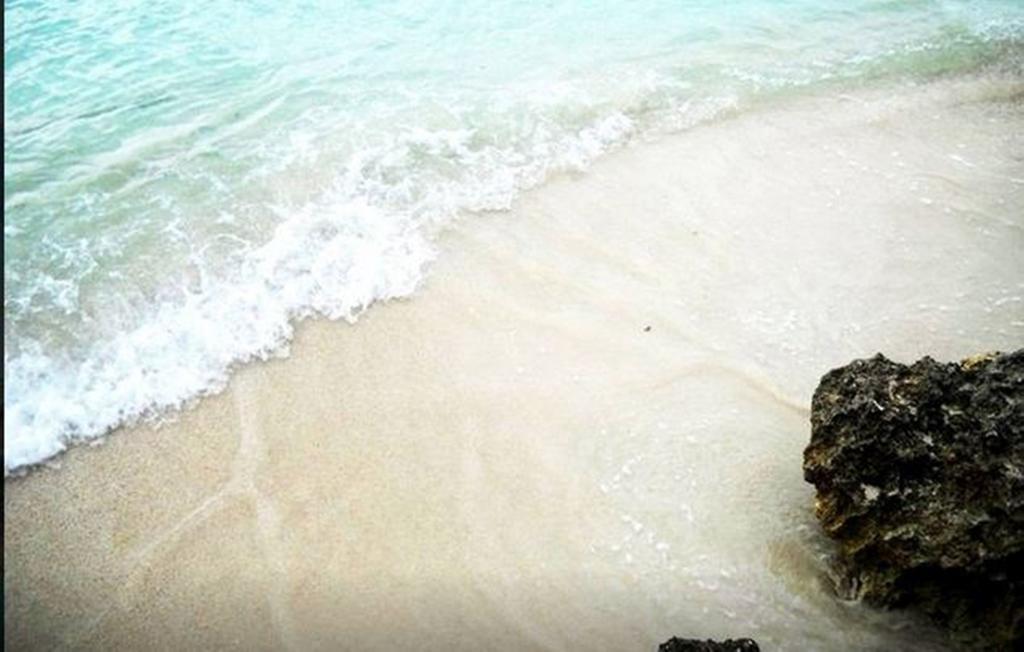 Guest house Jamrock Secret Retreat Montego Bay