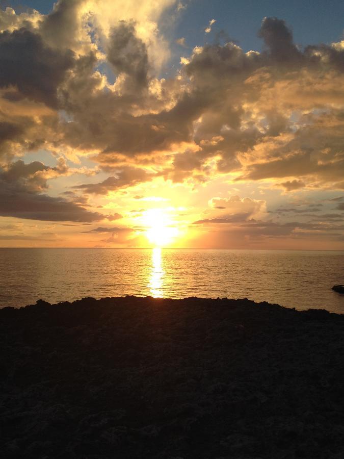 Guest house Vikings Rasta Retreats Montego Bay