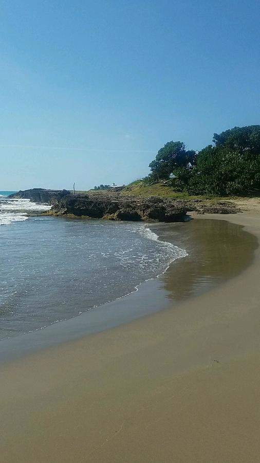 Vikings Rasta Retreats * Montego Bay