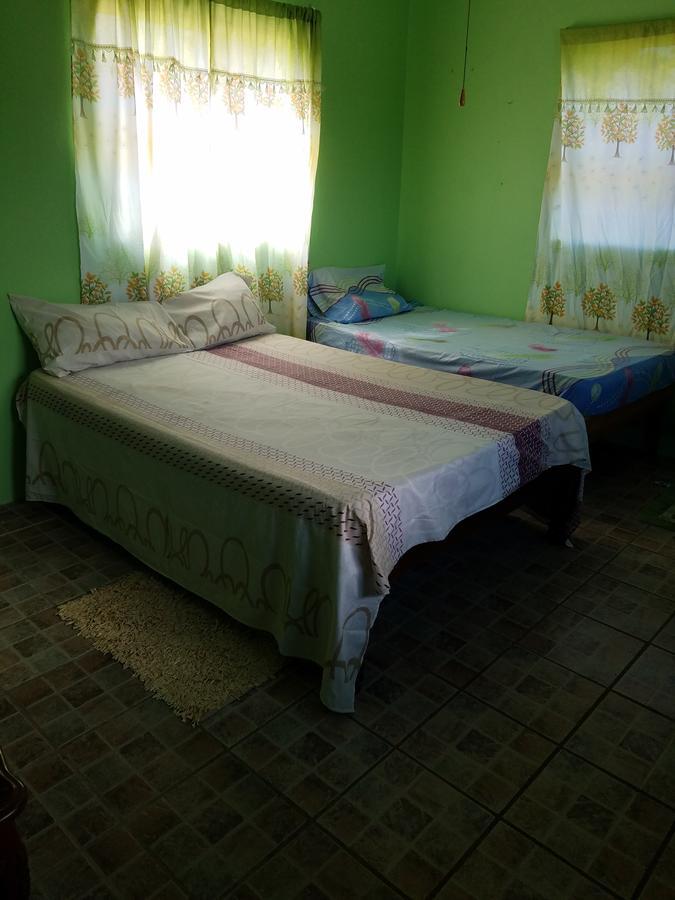 Vikings Rasta Retreats Guest house