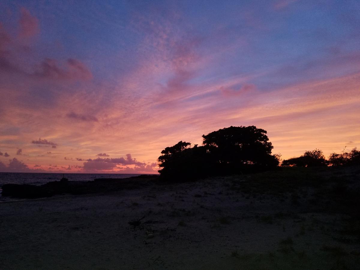 Vikings Rasta Retreats * Montego Bay