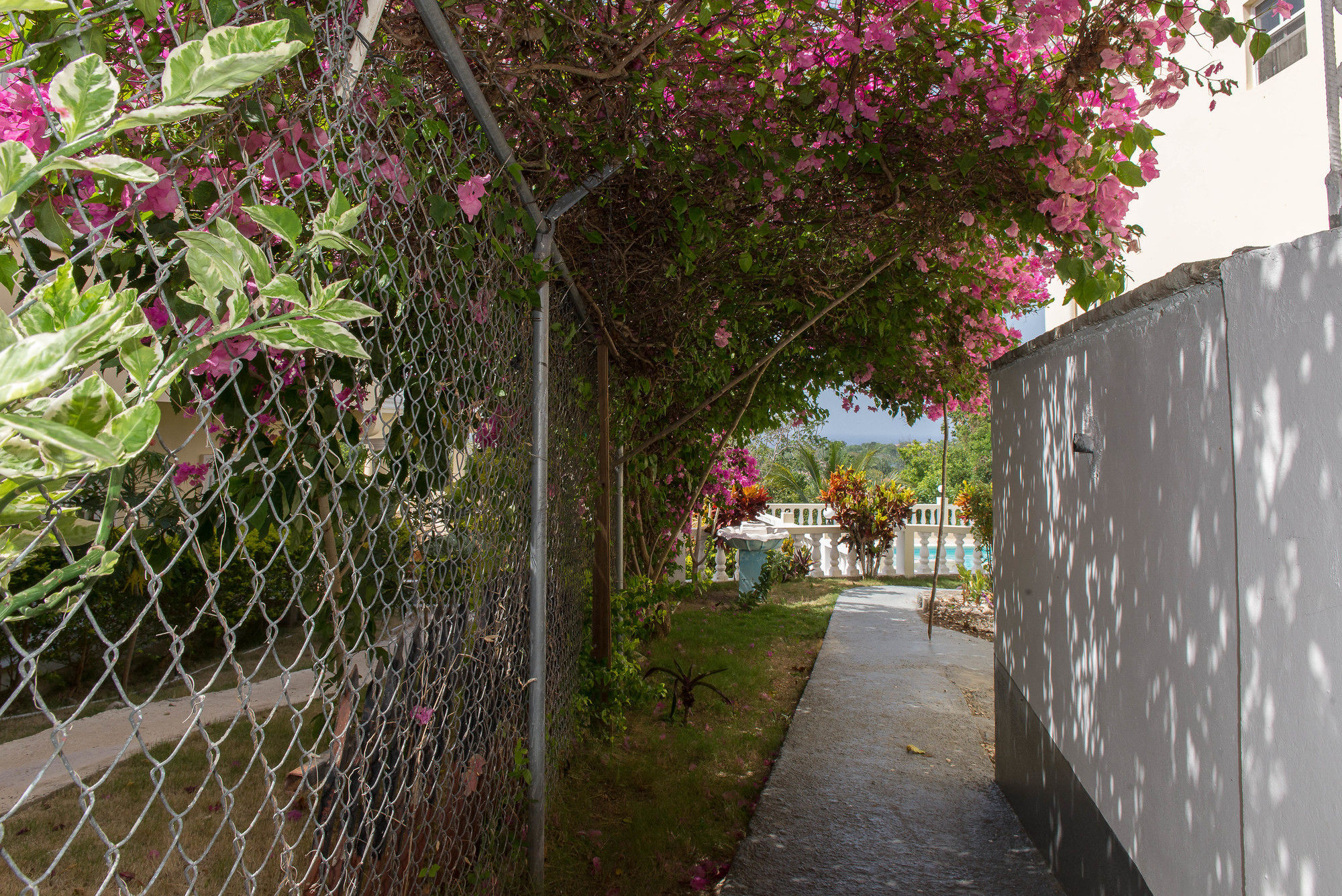 The Royal Kensington Hotel Montego Bay