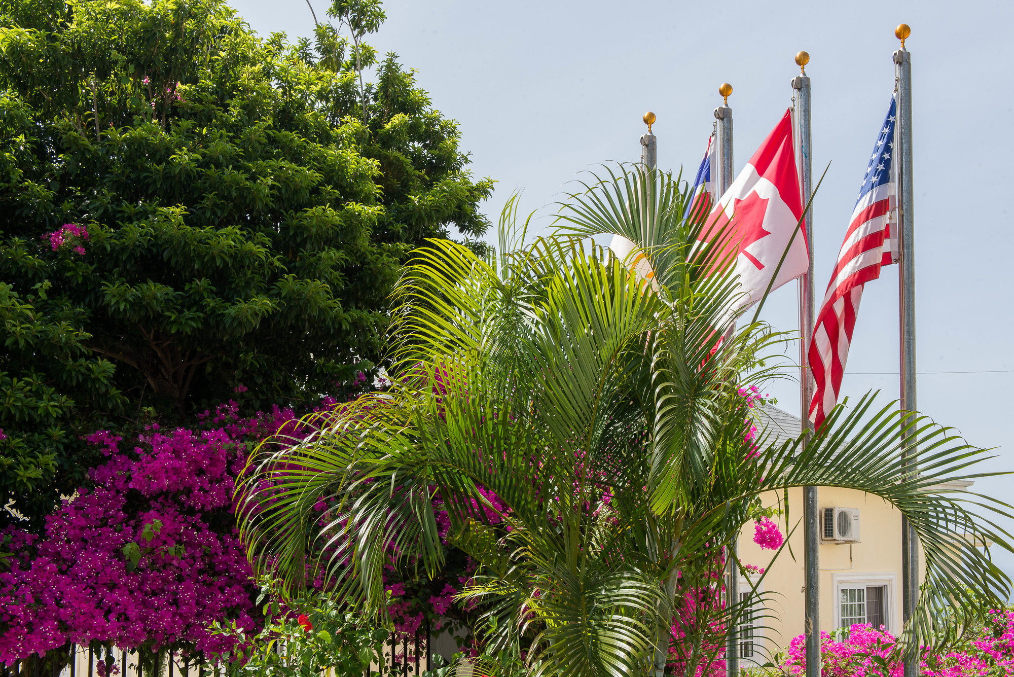 The Royal Kensington 3* Montego Bay