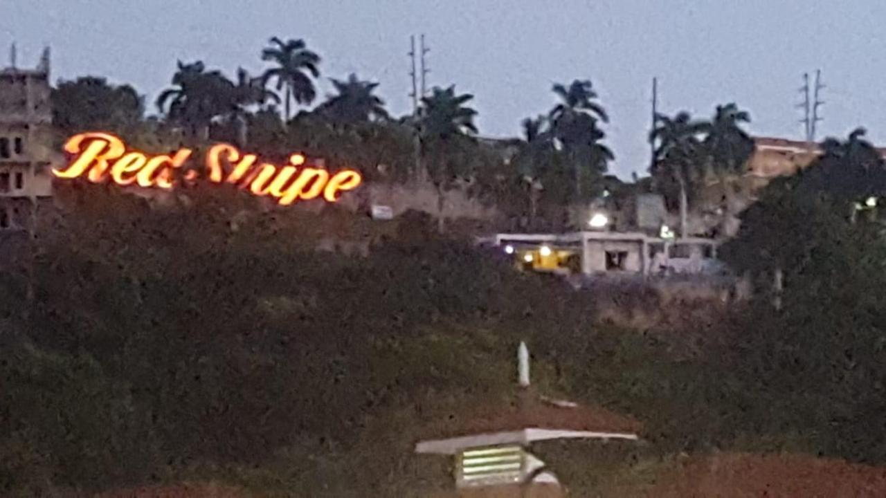 Mobay Palmas