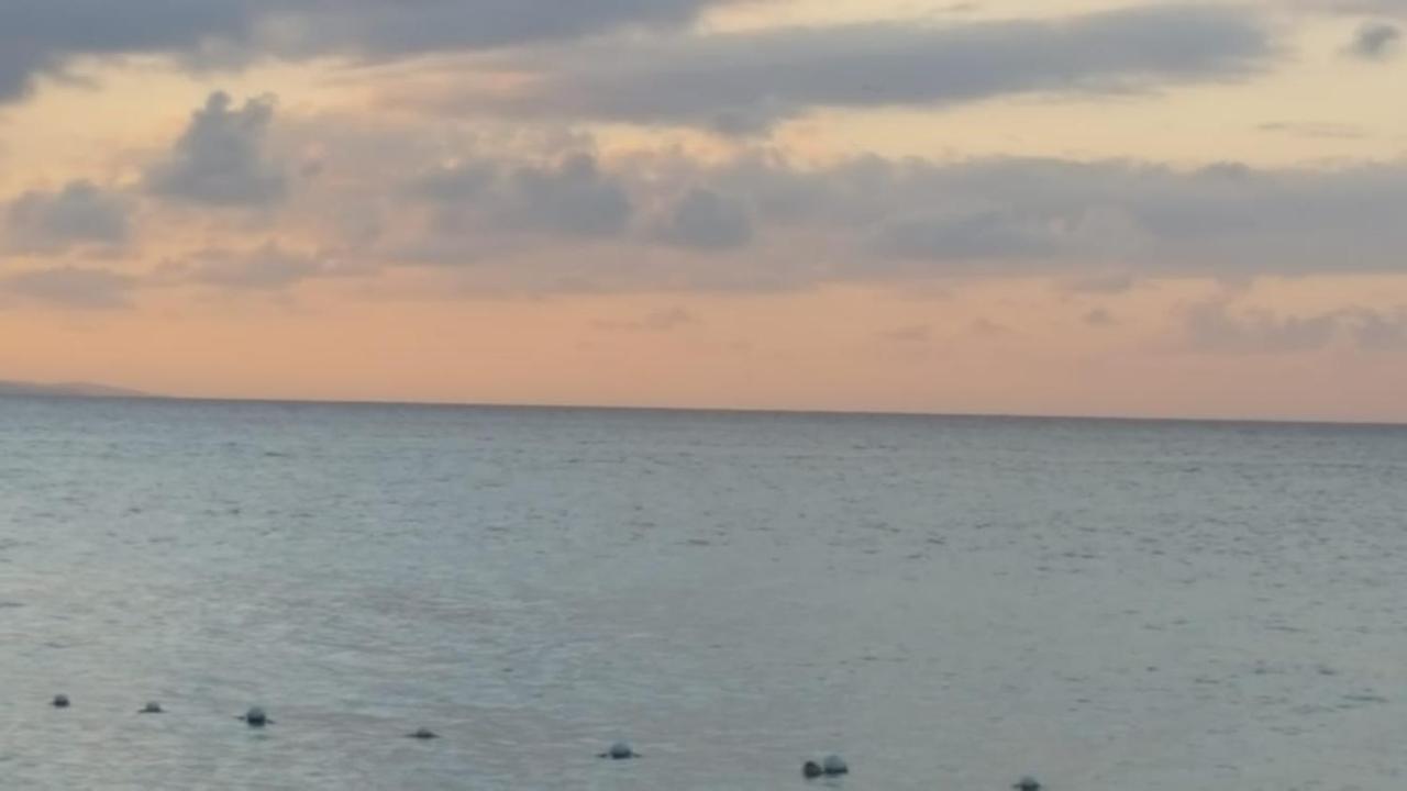 Villa Mobay Palmas Montego Bay