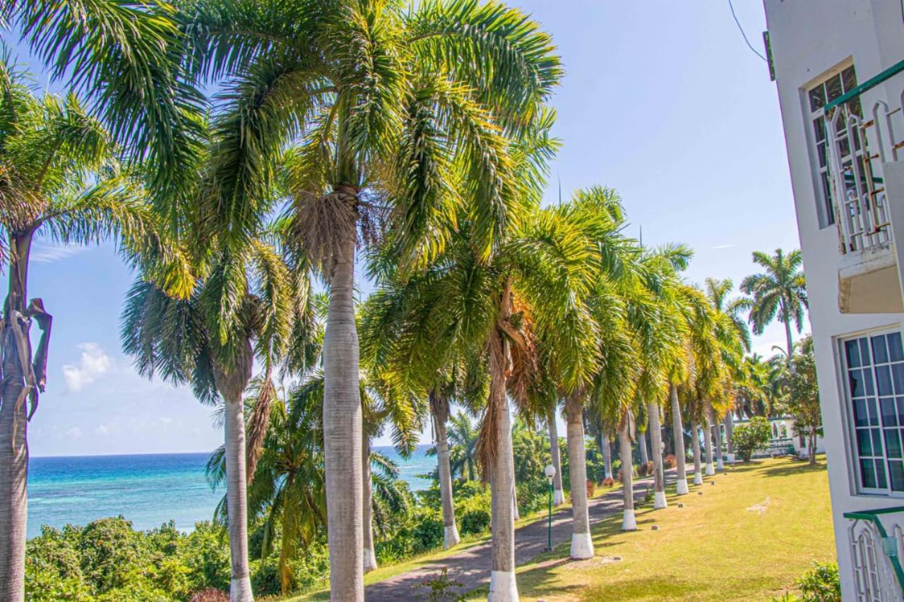 Apartment Malibu Ocean View Studio Montego Bay