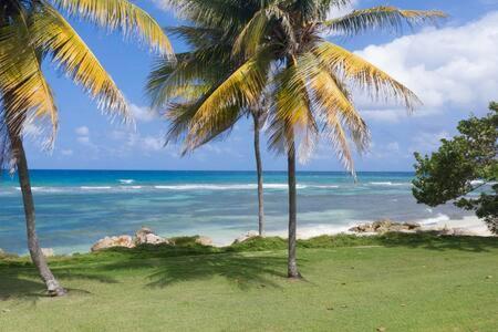 Hospitality Expert Madonna Tour Pool Bar Pensão Montego Bay