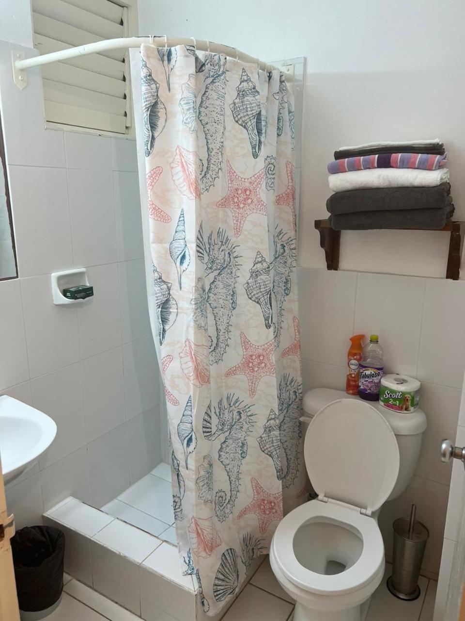 Malibu Ocean View Studio Apartment *