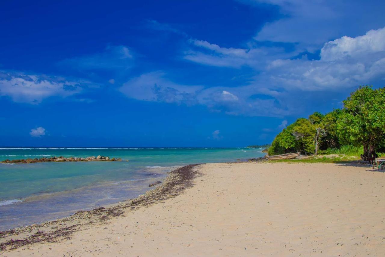 Malibu Ocean View Studio Montego Bay