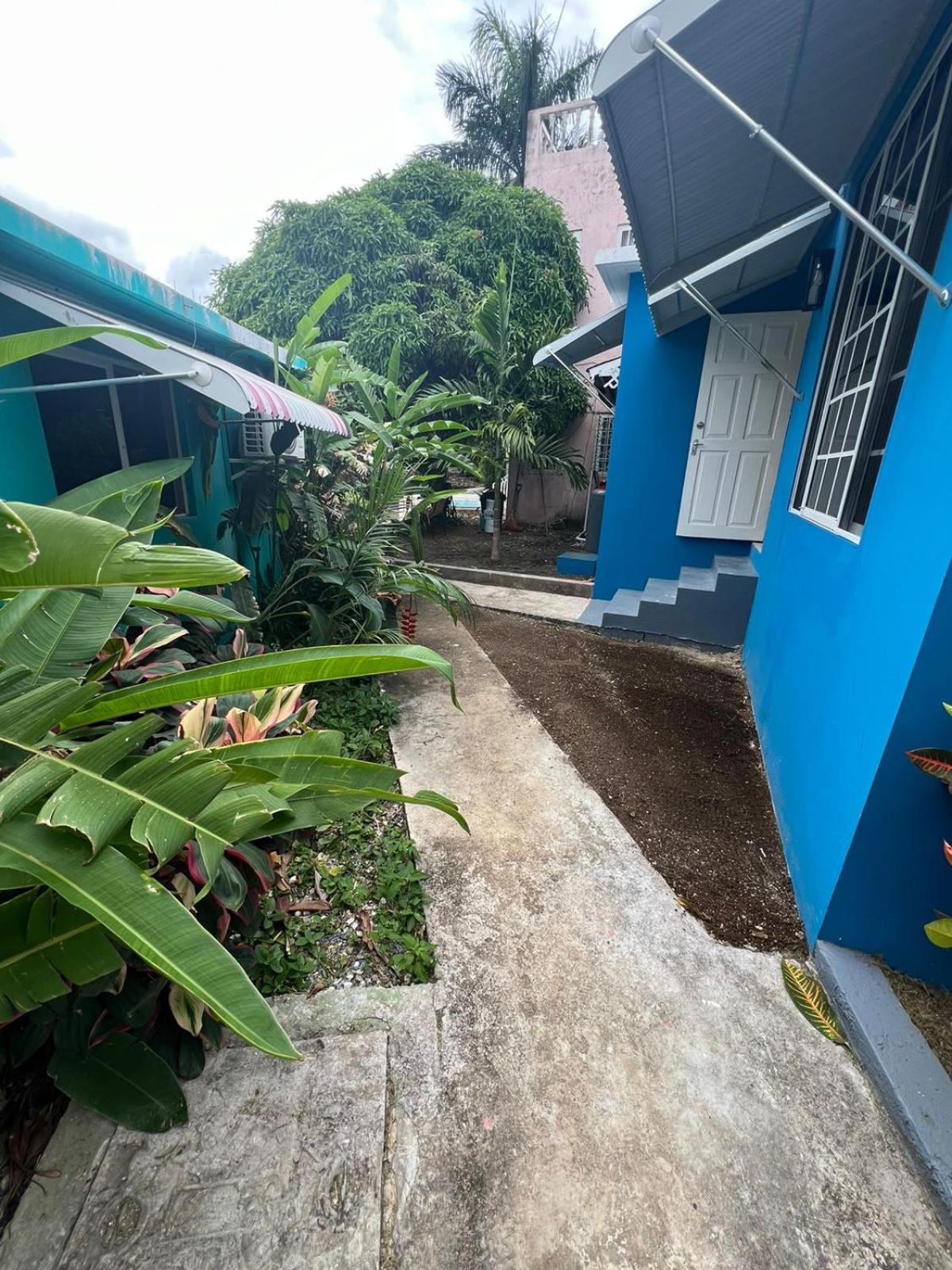 The Polo Club At Racquet Club Apartment Montego Bay