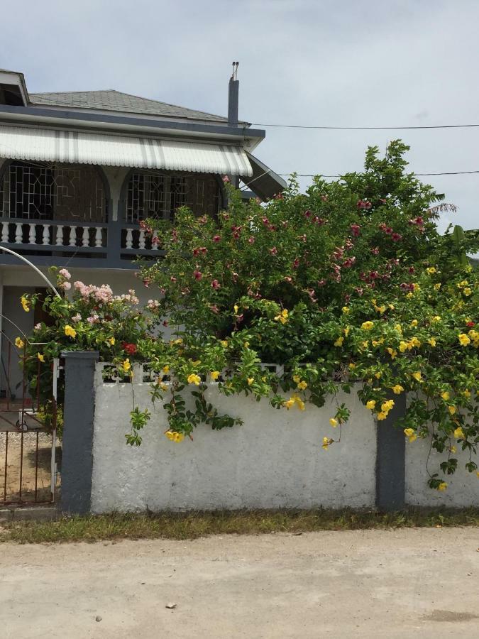 Ocean View Gem Bed & Breakfast Montego Bay