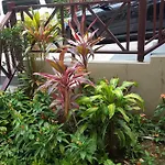 Tallyman Apt