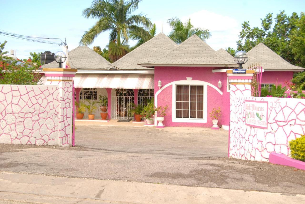 Pink Hibiscus * Montego Bay