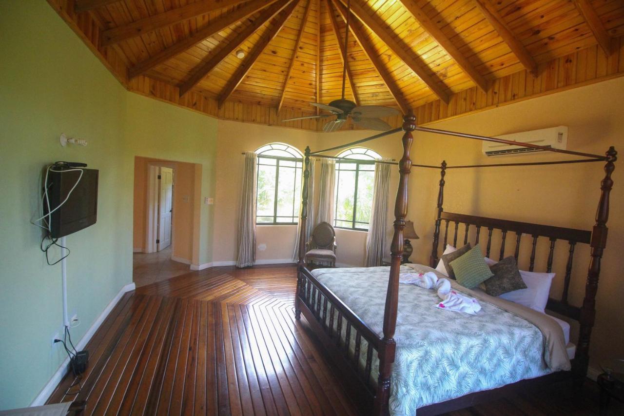 Luxury 10 Bedroom Villa-millbrooks