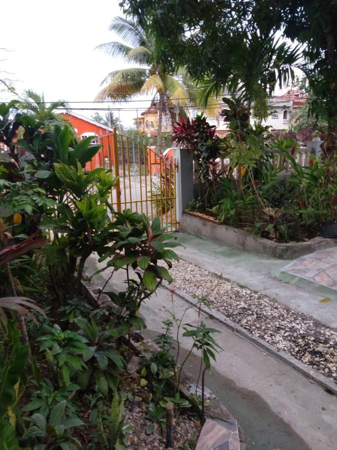 Apartment Aquamarine Ave Montego Bay