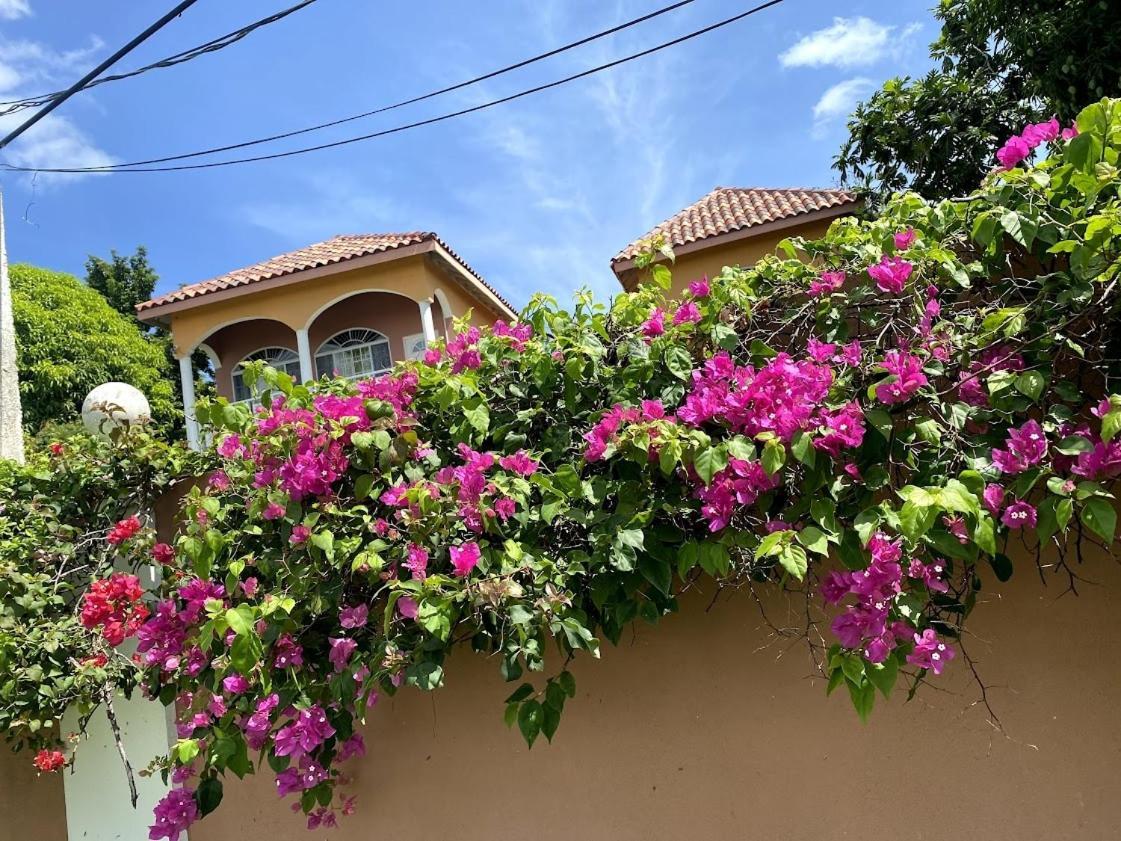 Yanceylargo- 4br Jacuzzi & Mountain Views * Montego Bay