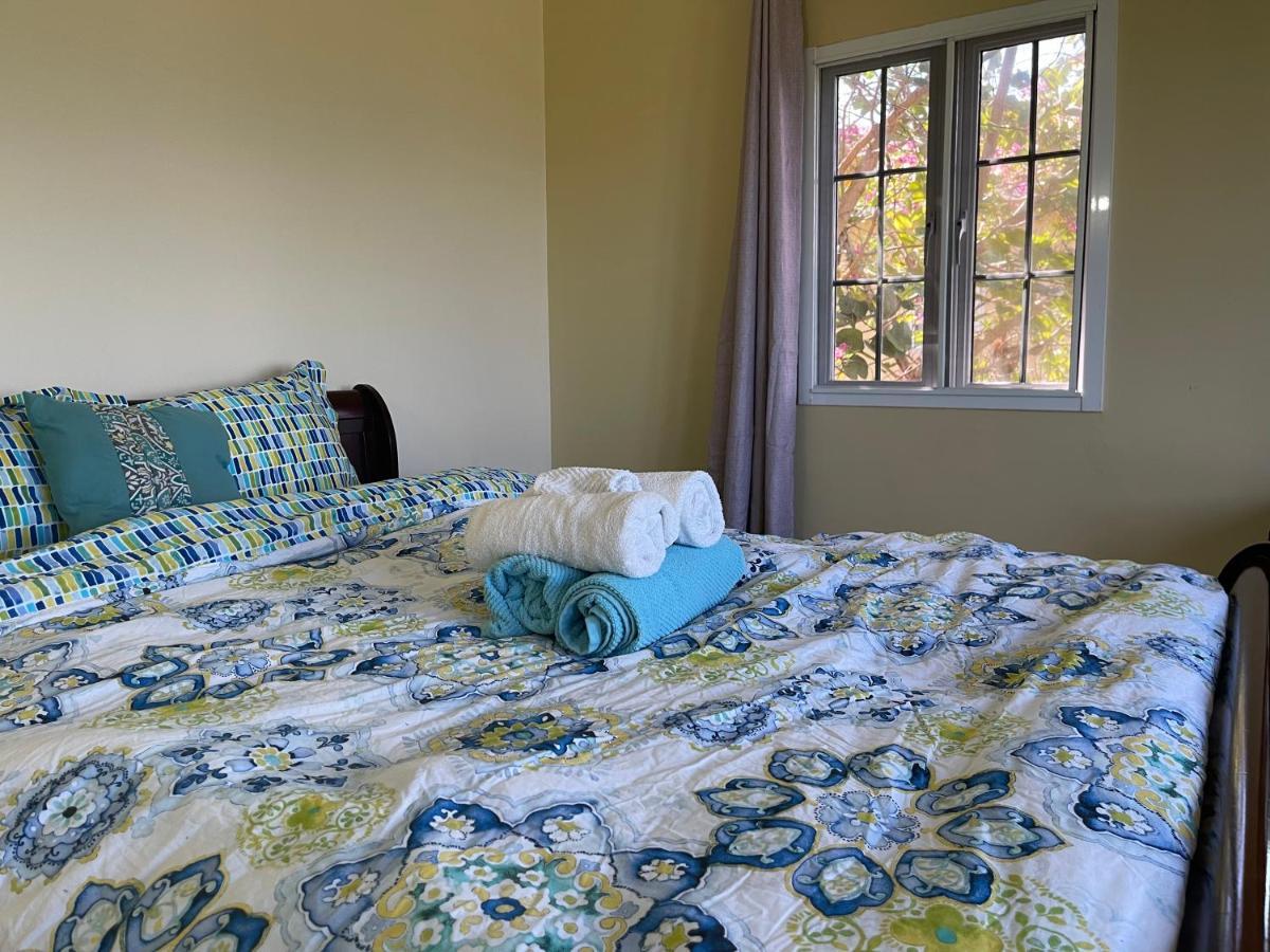 Apartment Free Airport Pickup 5 Minutes From Airport And Montego Bay