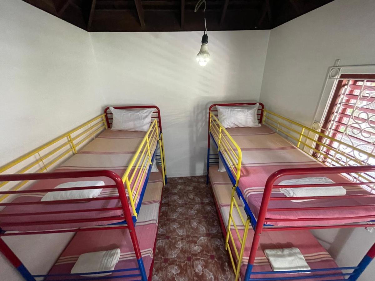 The @ Peaceful Palms Hostel *