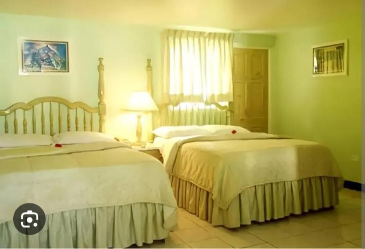 Big Apple Hotel Montego Bay