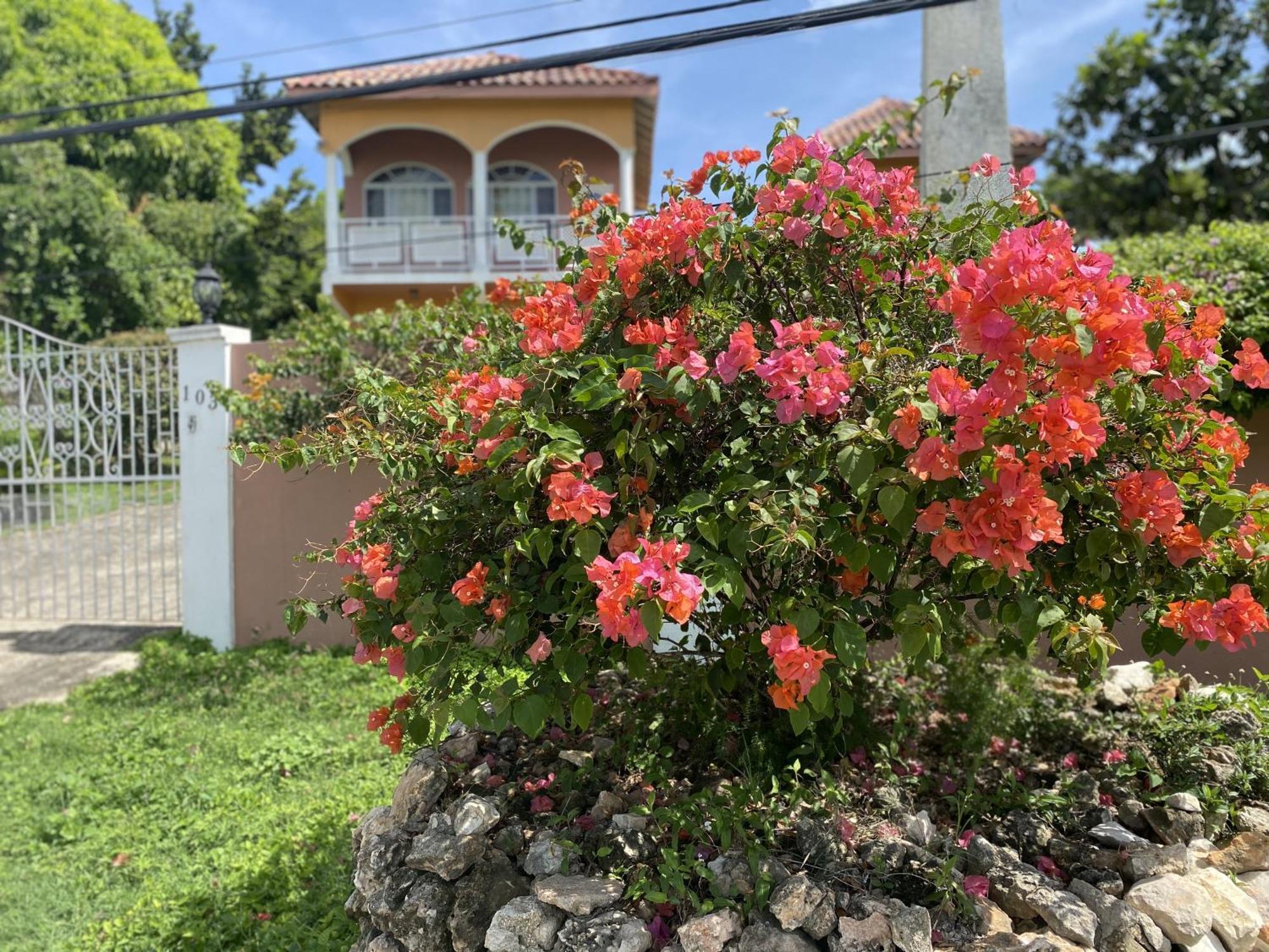 Yanceylargo-6br Two-story Estate With Mountain Views