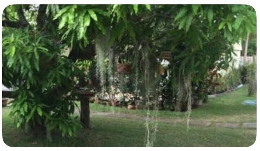 Apartment Beryls At Seawind On The Bay , , Jamaica Montego Bay