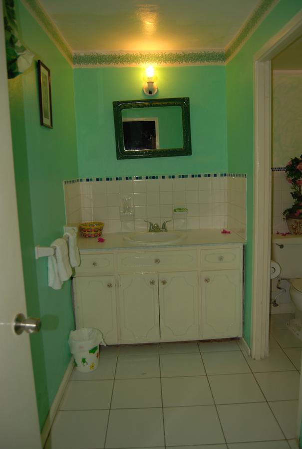 Pink Hibiscus Villa Montego Bay