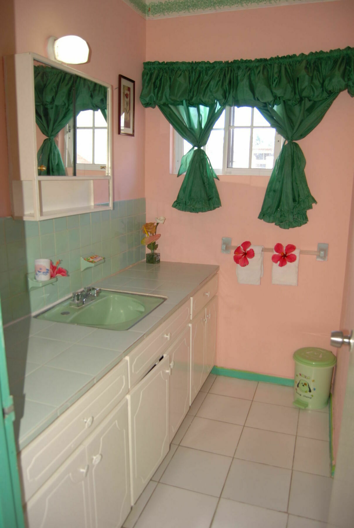 Guest house Pinkhibiscus Montego Bay
