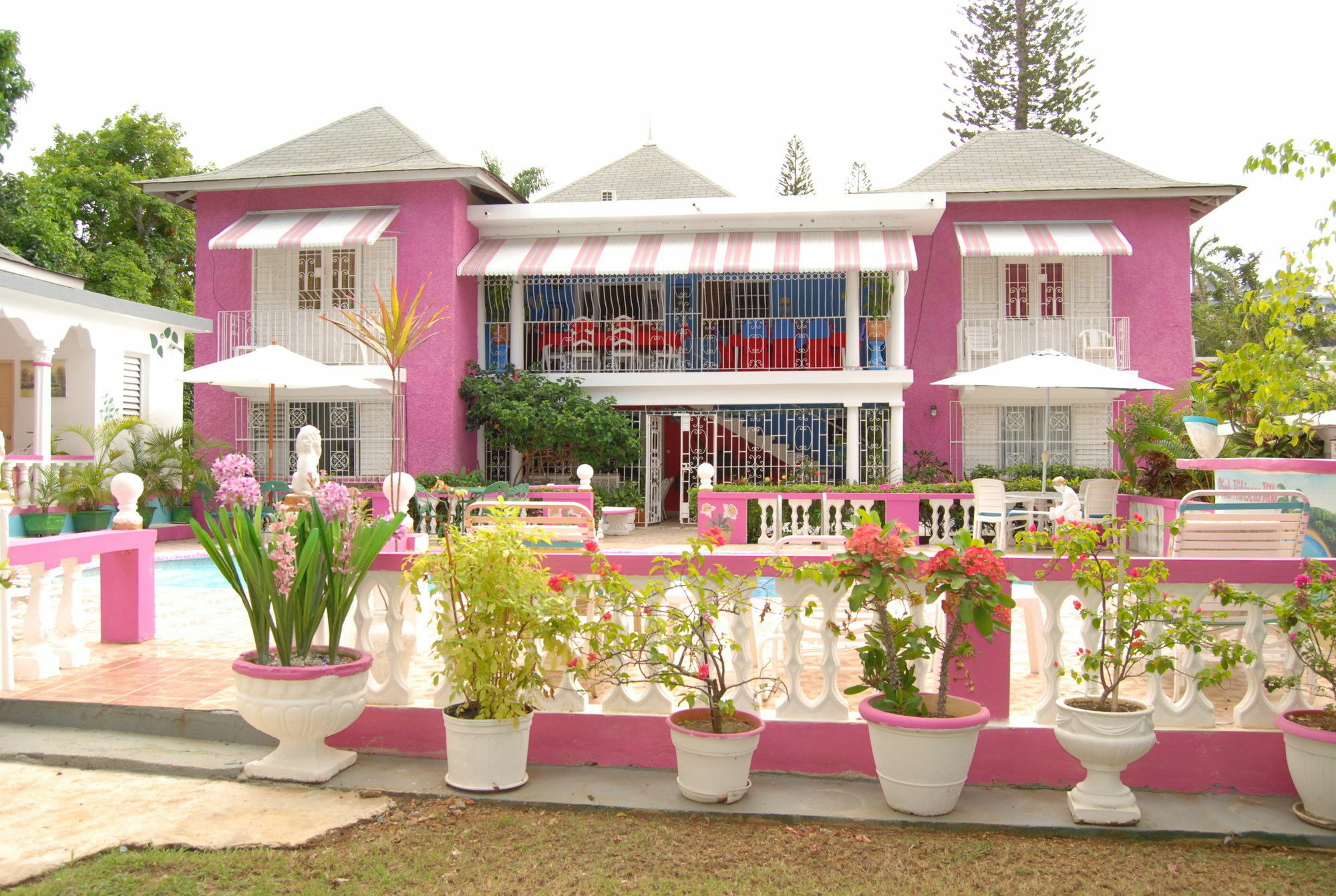 Pinkhibiscus Guest house Montego Bay