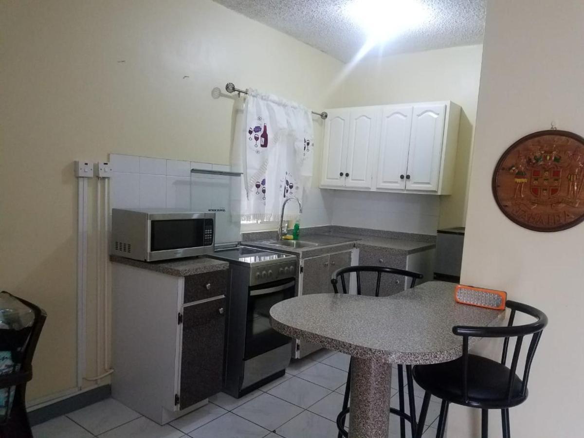 Unity One Bedroom Close To And Beaches With Wifi Montego Bay